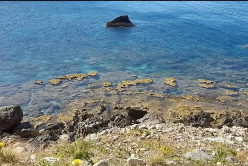 Villa Provvidenza Apartment Palermo Italy